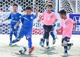 棒球为什么不适合情绪化决策